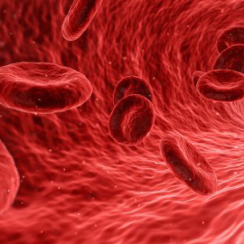 Sanquin begint met verzamelen plasma voor mogelijk geneesmiddel coronavirus