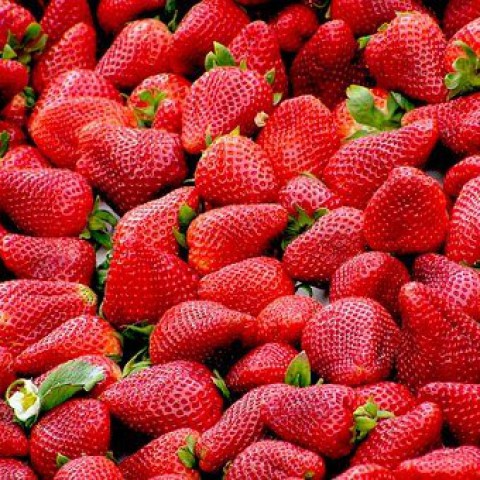 Aardbeien tips!