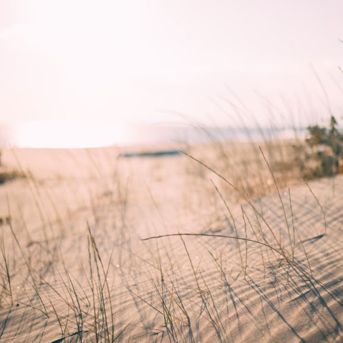 Ondanks coronamaatregelen blijven strandtenthouders optimistisch