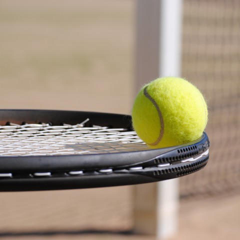 Nu ook padelbanen in Almere Haven