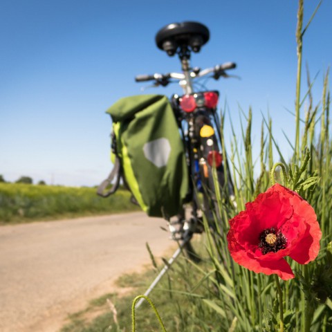 Fietsroute door het mooie Flevoland 