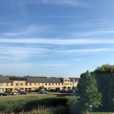 Vrij zonnig en zomers heet