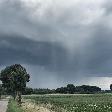 Geregeld een bui met af en toe wat zon.