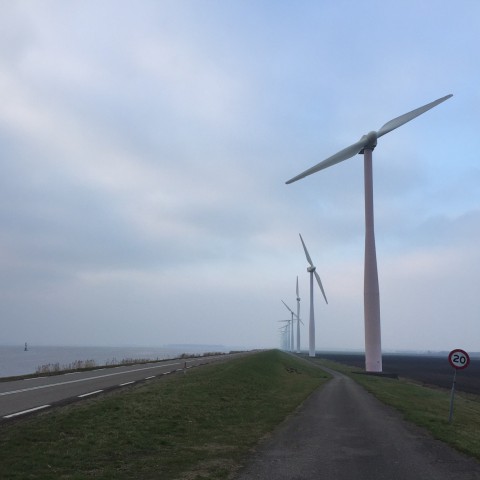 Wisselend bewolkt met enkele buien en veel wind.