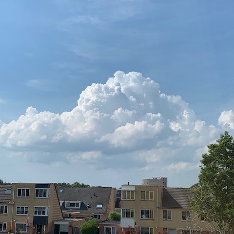 Zeer warm en toenemend zwoel.