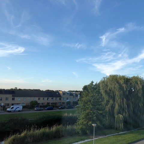 Aangenaam zomerweer