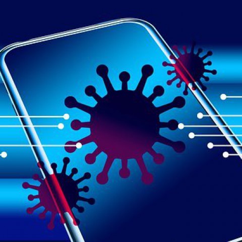 'Corona-app op 1 september nog niet landelijk'