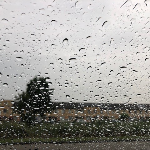 Bewolkt en regenachtig.