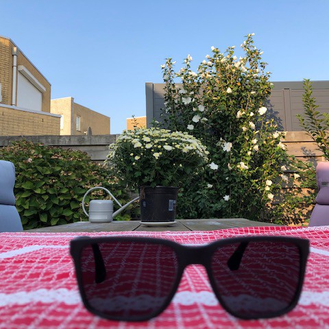 Zonnig en zeer warm.