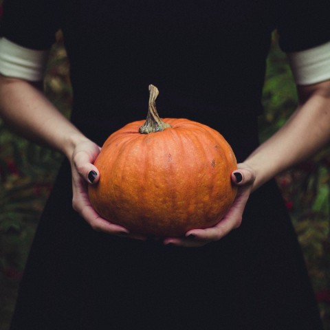 Illegaal Halloweenfeest op bedrijventerrein