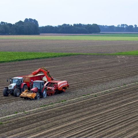 Zesde openstelling regeling Jonge Landbouwers