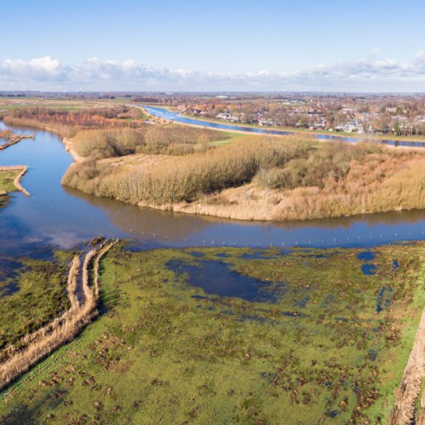 Natuurontwikkeling in rivierengebied leidt tot herstel soortenrijkdom