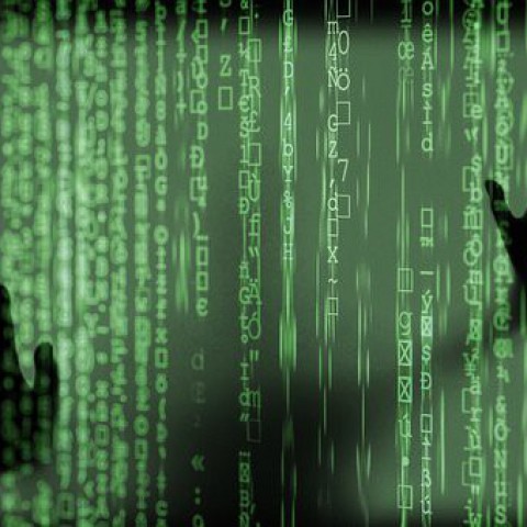 Stijging cybercrime in Flevoland door tweede lockdown, veel meldingen in Almere