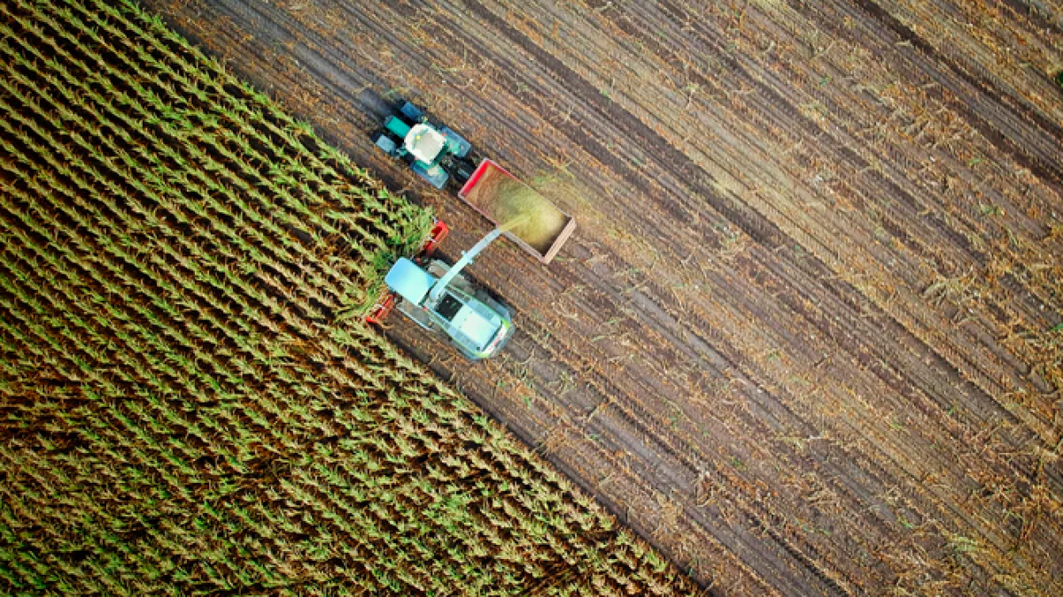 Boeren en burgers gaan digitaal op date