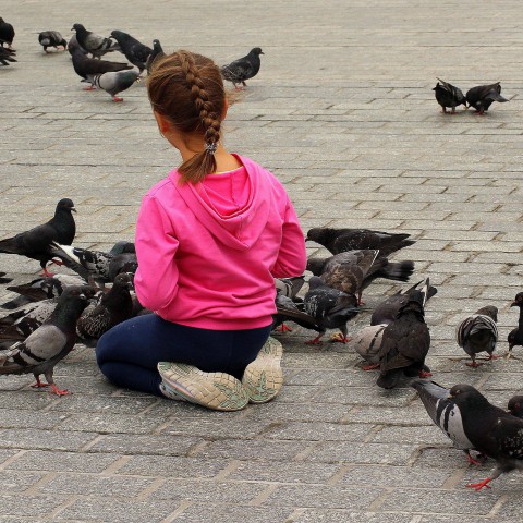 Denk goed na als je vogels voert!