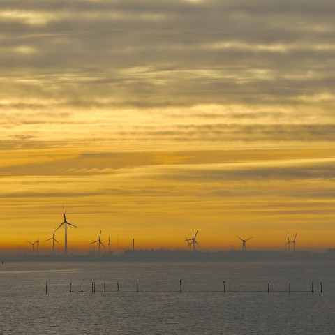 Kandidaten voor Lelyprijs 2021 gezocht!
