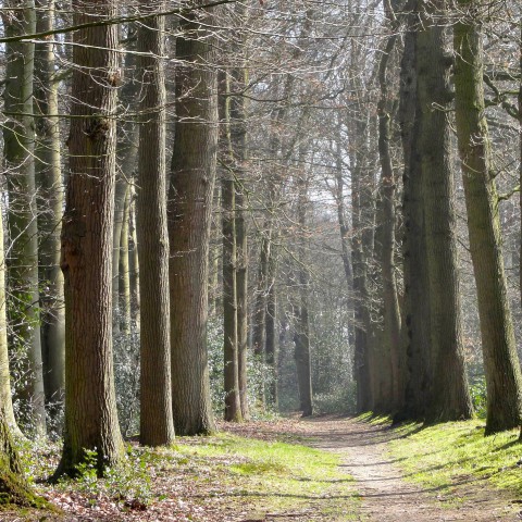 Natuur in tijdens lockdown? Wees welkom en respectvol