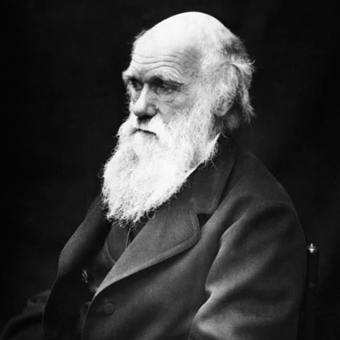 Darwin Dag