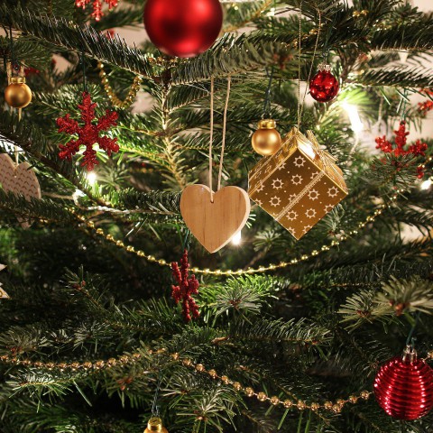 10.046 ingeleverde kerstbomen tijdens kerstboominzameling