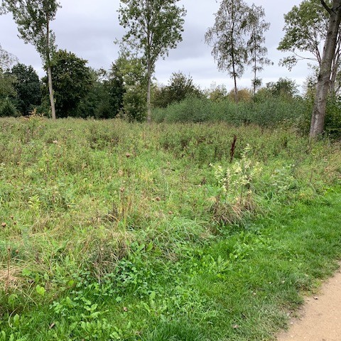 Verbazing over verwaarlozing natuur rondom gedenkmonument