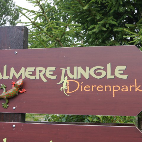 Almere Jungle op tweede plek 'Leukste uitje van Flevoland'