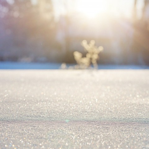Tips om de sneeuw te trotseren