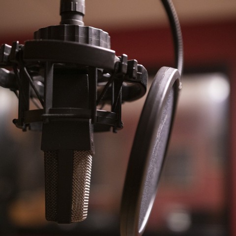 Podcast over een groen Almere nu te beluisteren