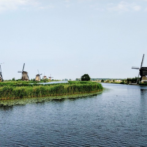 Ontdek de mooiste plekken in Nederland met RLLY