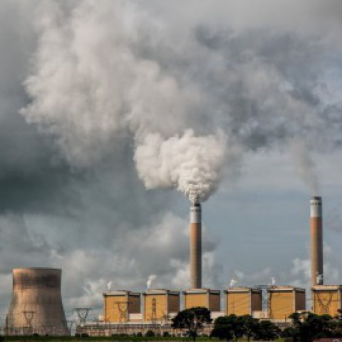 Greenpeace wil rechtszaak als oplossing stikstofprobleem uitblijft