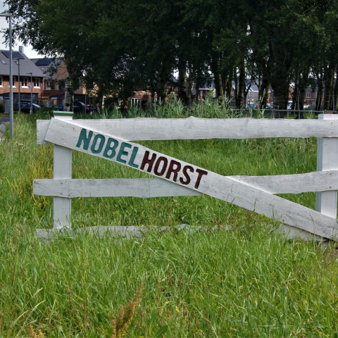 Nobelhorst Schoon