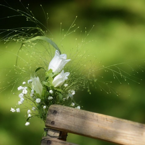 'Trouwen in Almere het goedkoopst'