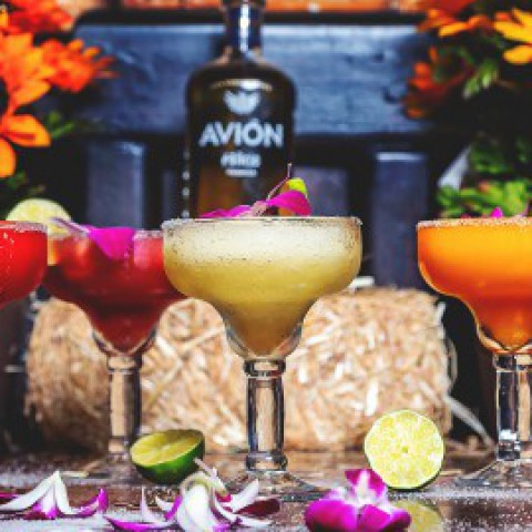 Virgin en non-virgin Pornstar Martinis tijdens oud en nieuw!