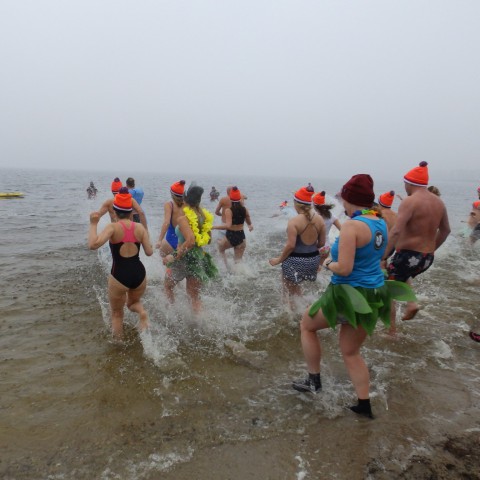 Nieuwjaarsduik van Almere Haven gaat niet door