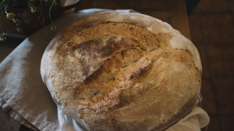 Heerlijk handgemaakt brood bij Broodletter Almere
