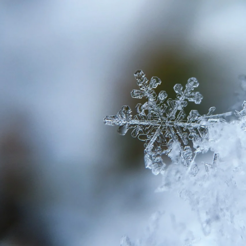 Een geweldige tijd voor de schaatsers, sneeuw fanaten en de sterrenkijkers!