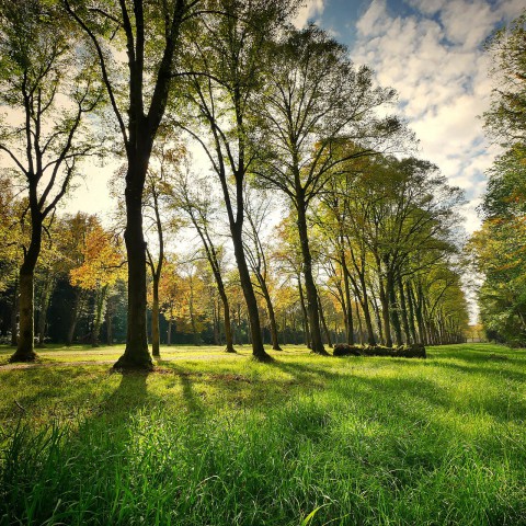 Ruim vier miljoen subsidie voor Nationaal Park Nieuw Land