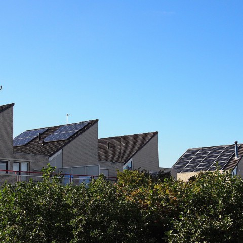 Verrassend wonen in Almere Poort
