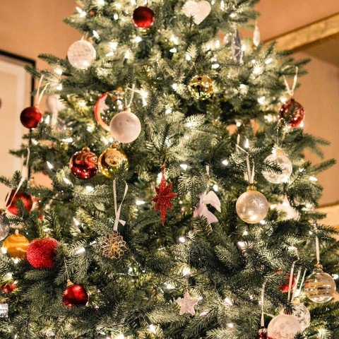 Café houdt ruim 300 kerstbomen over: 'Help ons er alsjeblieft vanaf'