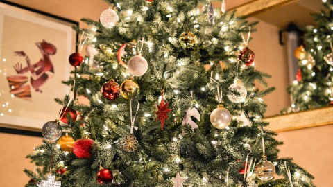 Café houdt ruim 300 kerstbomen over: 'Help ons er alsjeblieft vanaf'