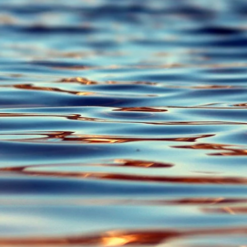 Iedere week zwemt Gerard de Reus in het Gooimeer, zelfs met -6