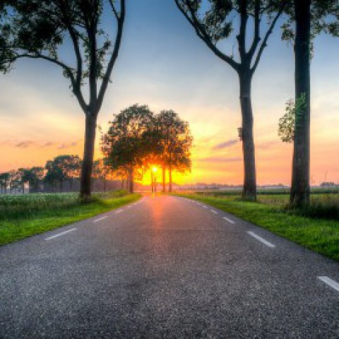 Derde deelplan in Warande, De Nooten, in voorbereiding