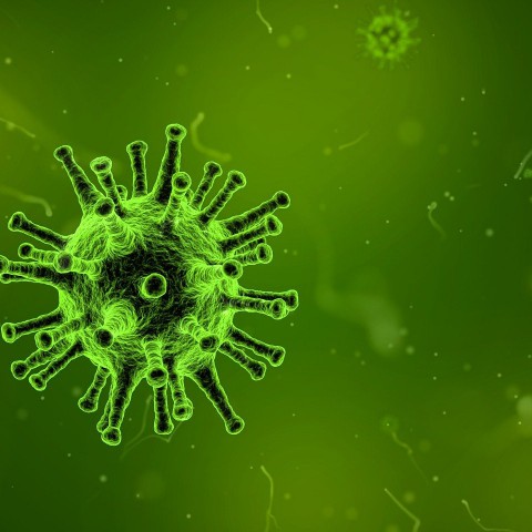 Meer informatie over het vaccinatieprogramma 2021