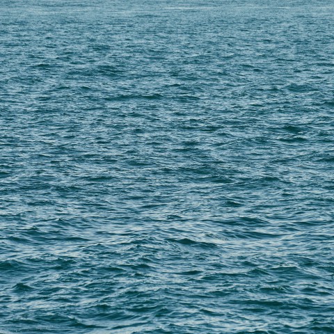 NAVO-vlootverband ruimt explosieven voor Nederlandse kust