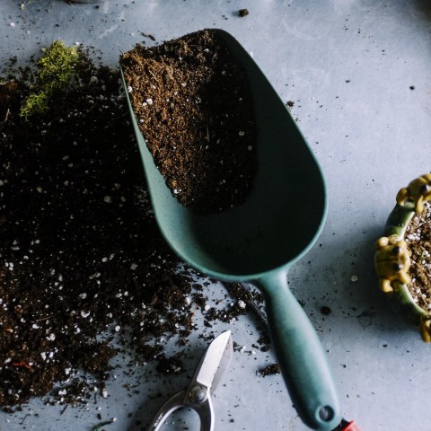 Tegel ruilen voor een gratis plant