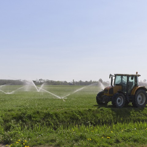 Boeren willen misverstanden wegnemen met leuke activiteiten