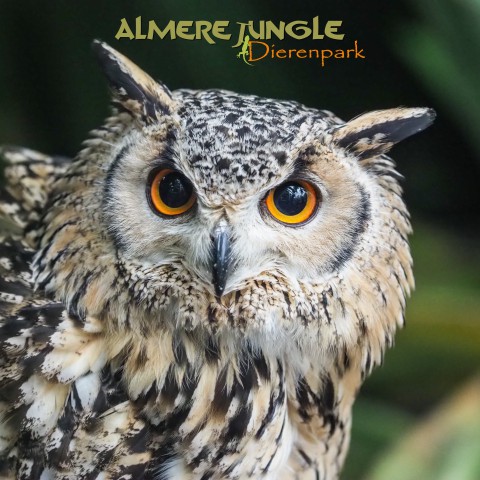 Heb jij de jaarkaarten van Almere Jungle gewonnen? Check je mail!
