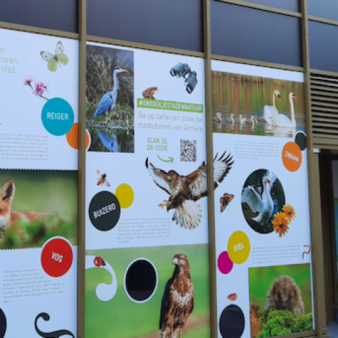 Stad & Natuur zet de natuur in de etalage in het Stadscentrum