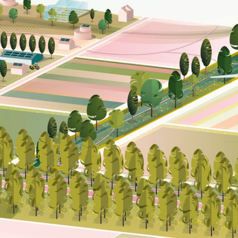Nieuwe landschapsvisie herstelt, bewaakt en versterkt Flevoland