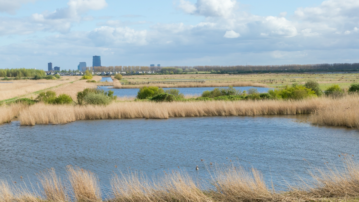 Nieuw bezoekerscentrum op locatie huidige Trekvogel in Almere