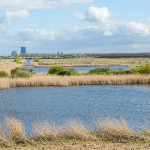 Nieuw bezoekerscentrum op locatie huidige Trekvogel in Almere